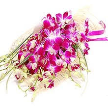 hyderabad exotic orchids flowers