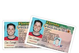 replace fl drivers license phiharle