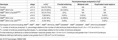 Table Of Genotype And Phenotype Frequency For Wild Type