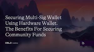 multi sig wallet using hardware wallet