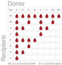 Nambts About Blood For Blood Transfusion Chart World Of