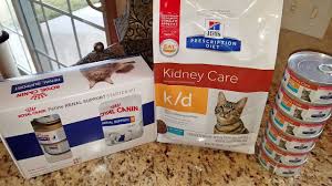 low phosphorus food for cats 53