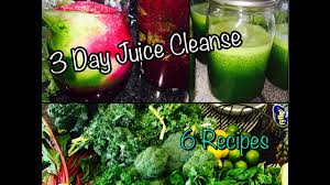 3 day juice cleanse 6 juice recipes