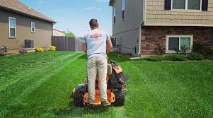 Kansas City By Pro Mow Lawn Care