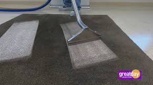 zerorez spring clean your carpet