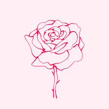 hand drawn rose drawing of rose flower
