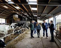 Wil Rutte de Nederlandse voedselproductie in handen zien te krijgen?￼ –  INDEPEN