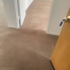 dynamic carpet cleaning restoration