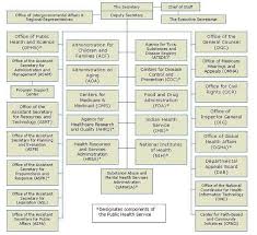 Taggs Fy 2008 Annual Report Organizational Chart