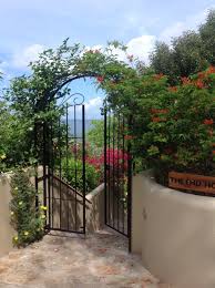 arbor gate combo vine garden arch