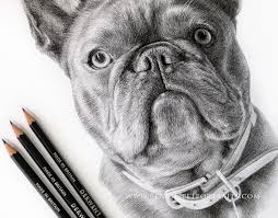 Pencil drawings of dog and puppies from your photos for sale. Custom Pencil Portrait Detailed Drawing 12x10 Pet Family Baby Child From Photograph Wedding Anniversary Commission By Karena Drawing Illustration Art Collectibles