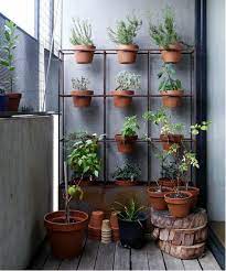 growing herbs indoors