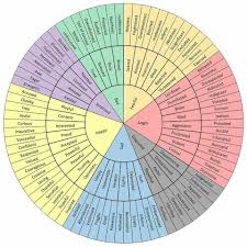 Core Emotions And Complex Emotions Feelings Wheel