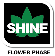 Veg Bloom Shine Additive 1 Lb