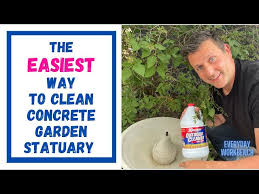 How To Clean Concrete In Your Garden