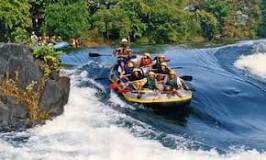 Image result for dandeli