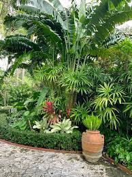 Florida Gardens Blog Enchanted
