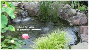 how to aerate a pond and why your fish