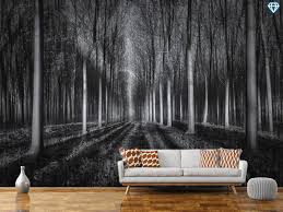 Wall Mural Photo Wallpaper Into The