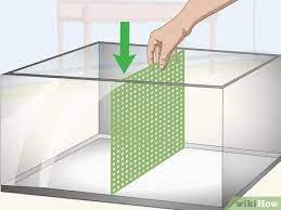 If you have two bettas, housing them in one tank with a divider will simplify caring for them because you won't need two tanks, two heaters or two filters. How To Make A Fish Tank Divider 9 Steps With Pictures Wikihow