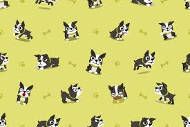 boston terrier pattern images browse