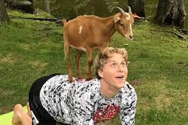 goat farm in georgetown ma has goat yoga