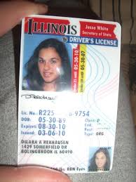 It will have a big red outline around. Driver S License Dilara89 S Blog