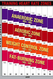 Training Heart Rate Zones Chart Bright