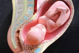 cervical lip during labor causes and