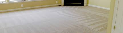 dallas rug cleaning by dfw steam