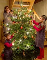 see what christmas trees have looked