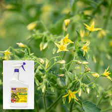 tomato blossom set spray fertilizers