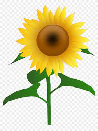 sunflower clipart commercial use