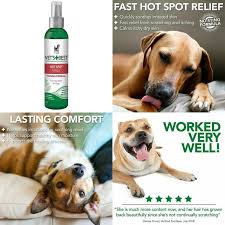 dog hot spot itch relief spray