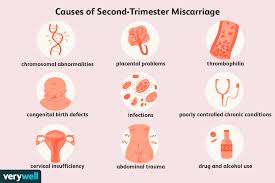 In the second trimester, estrogen and progesterone continue to increase to help grow the baby. Reasons For Miscarriage In The Second Trimester