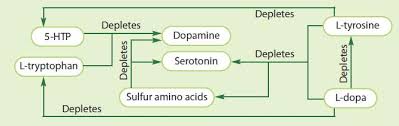 How Amino Acid Therapy Works Amino Acid Therapy