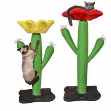 You wouldn't guess red african milk tree is actually related to poinsettias! Cactus Shape Cat Scratcher Frame Natural Sisal Cat Climbing Pole Jumping Platform Cat Toy Furniture Scratchers Cat Tree Tower Furniture Scratchers Aliexpress
