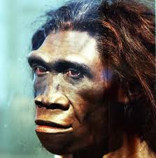 Poco dopo la scoperta dei primi scheletri in belgio (1829), gibilterra (1848) e in germania (1856), gli scienziati del tempo hanno sostenuto che l'homo neanderthalensis, com'era stato chiamato, non fosse umano. La Cina Sta Riscrivendo Il Libro Delle Origini Dell Uomo Le Scienze