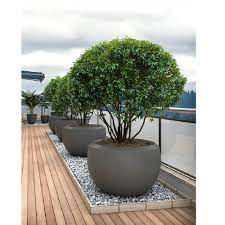 gray polymer grande large planter for