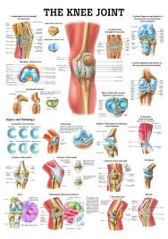 Pin On Orthopedic Surgery