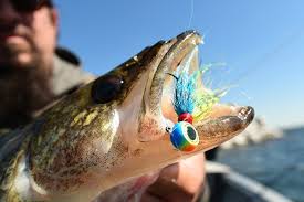 Spring River Walleye Fishing Tips