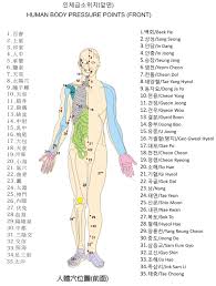 64 Punctual Human Body Pressure Points