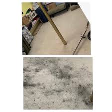 e s carpet cleaning upholstery