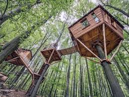 60 Best Treehouse Ideas Wooden Wonder
