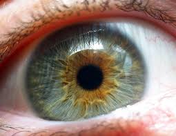 What is Macular Degeneration?