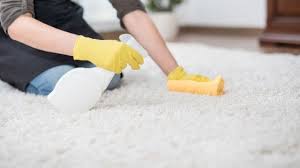 best way how to get blood out of carpet