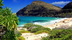hawaii s big island travel guide must