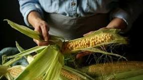 Is cornstarch same as corn flour?