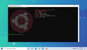 a bootable windows 10 usb on ubuntu