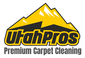 1 for carpet cleaning in provo ut